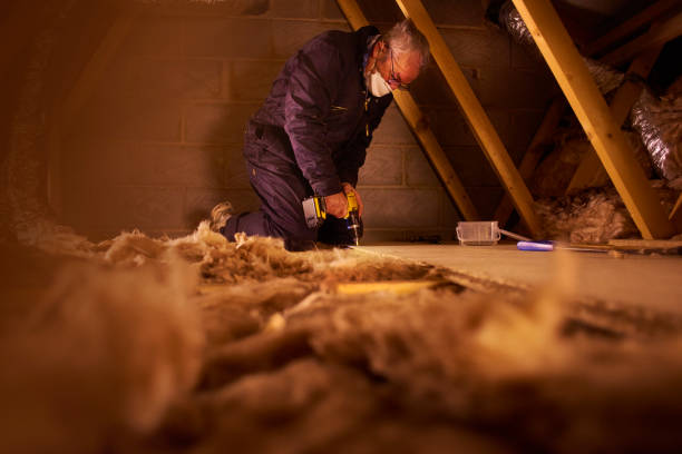 Best Insulation Maintenance and Repair in Miami, AZ